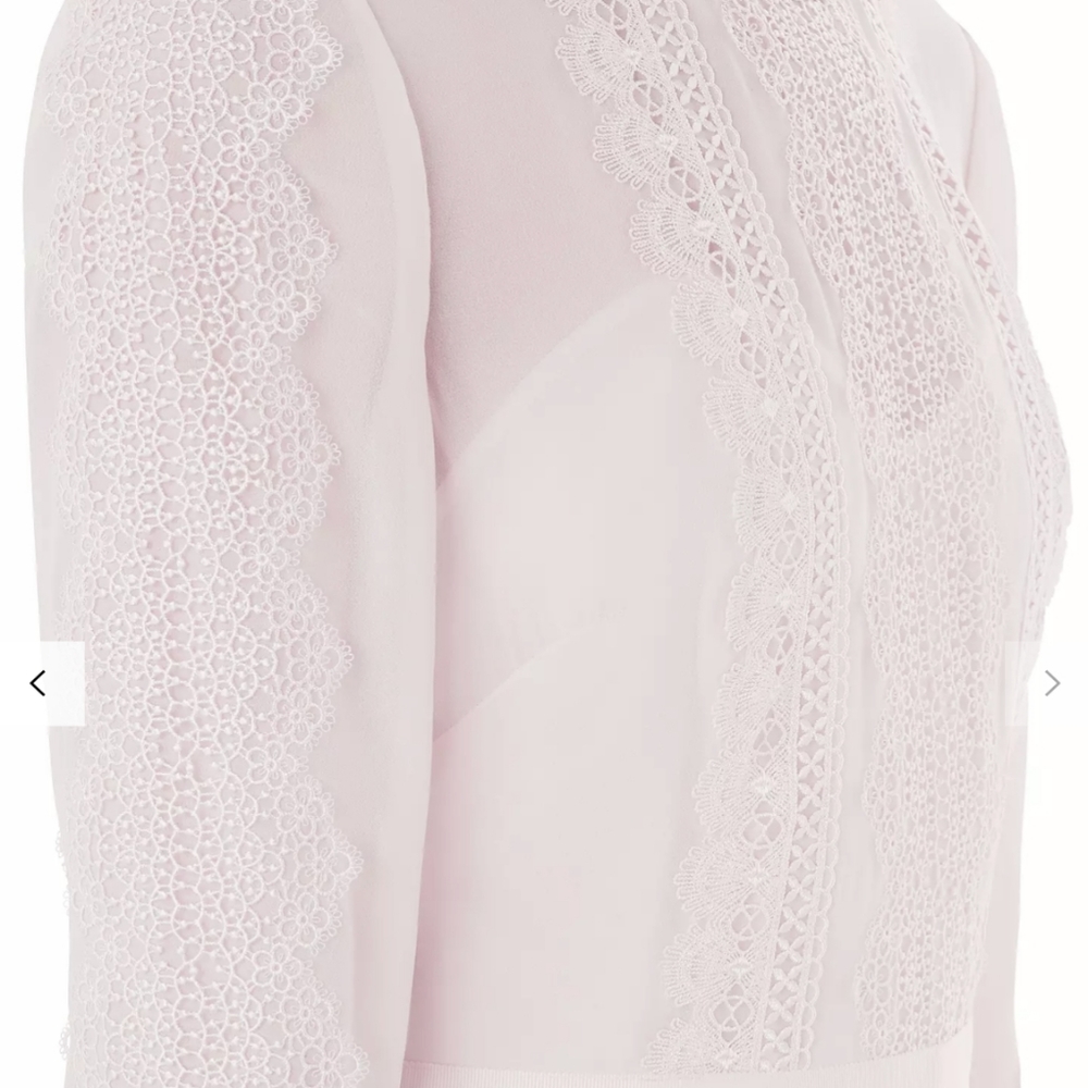 Ted Baker Looez Lace Trim Dress, Pink Nude Size 6-8 - Picture 4 of 16